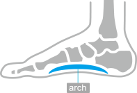 Our Sole Comfort - Foot Bed